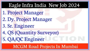 Eagle Infra India Ltd Job 2024